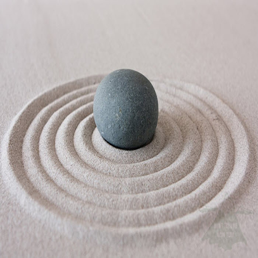 Sống tỉnh thức: hành trình trở về với thực tại